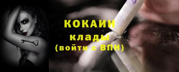 мдпв Пестово