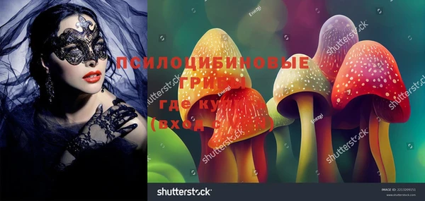 MDMA Premium VHQ Пересвет