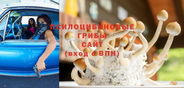 мдпв Пестово