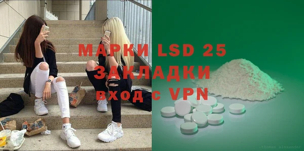 мдпв Пестово